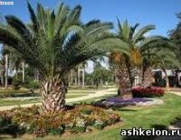 1 300 000 израильтян отдохнули на природе в День Независимости