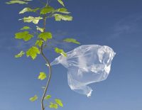 Да здравствуют платные полиэтиленовые пакеты!