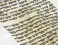 Полтора миллиона израильтян борются с ивритом