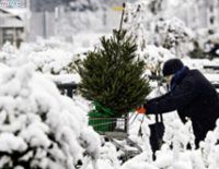 Празднование Нового года &mdash; традиция, существующая во всех странах мира