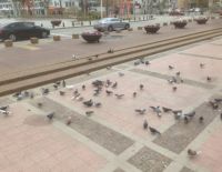 Прогноз погоды на 26 февраля: солнечно, температура выше среднесезонной