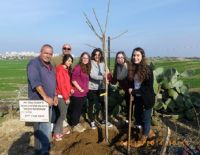 Сохраним исторические памятники Ашкелона