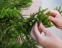 В Израиле прошёл Всемирный день чистоты