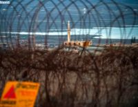 Иран готовит атаку на Израиль из Сирии