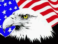 США отказались освобождать Полларда