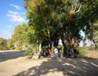 Экскурсии для репатриантов