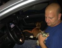 Городские ветеринары спасли котенка