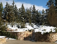 Не еврейское поле или с чужбины на чужбину (Размышления христианского друга)