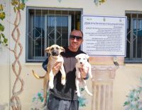 Мэрия Ашкелона не обходит заботой городских животных