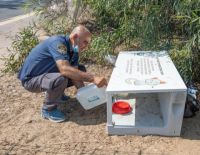 Мэрия с заботой о животных: новые точки кормления кошек