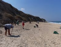 Молодые репатрианты очистили ашкелонский пляж