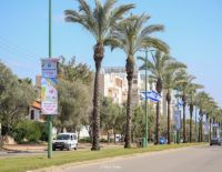 Весенний праздник наступил: рисунки детей Ашкелона развешаны по городу