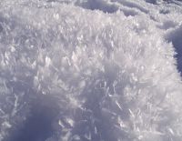 Прогноз погоды на 14 декабря