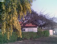 Прогноз погоды на 17 марта: прохладно, ветрено, дожди на севере и в центре