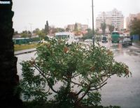 Прогноз погоды на 19 апреля: прохладно, временами дожди