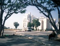 Прогноз погоды: облачно, тепло, без осадков