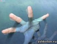 Два утопленника за один день