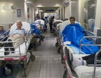 Грибная охота