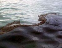 Купание на пляже Ницаним опасно из-за сброса сточных вод