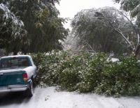 Ночью снежная буря возобновится с новой силой