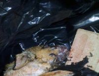 О людях и нелюдях