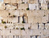 Около Стены Плача охранник застрелил еврея, крикнувшего "Аллах акбар"