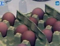 Осторожно! Некошерно!