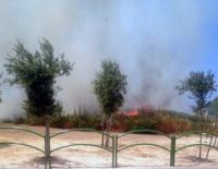 Пожароопасная погода