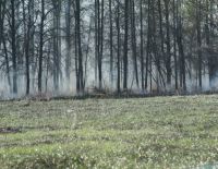 Пожары бушуют на юге Израиля