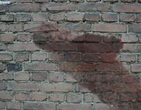 Просто так...