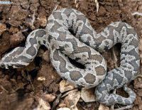 Соблюдайте осторожность!