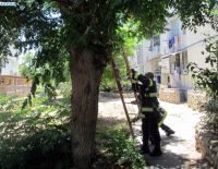 "Спасти котёнка &ndash; 2"