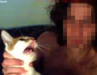 В Беэр-Шеве арестован живодёр, издевавшийся над кошками