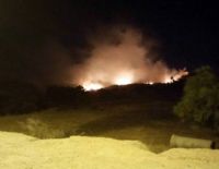 В Национальном парке Ашкелона возник пожар