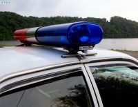 В Службе занятости протестуют против насилия