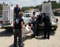 Закон и порядок