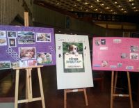 Учиться милосердию