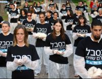 "В страдании все равны": тихая акция протеста защитников животных