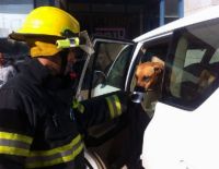 Забыли в автомобиле