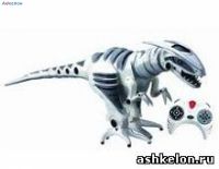 Израильские ребята - победители международного конкурса роботики