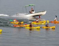 По морям, по волнам...