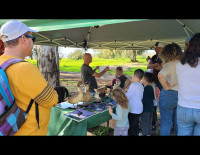 Из-за перегрузки закрыт доступ в некоторые национальные парки: список