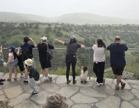 Около 40 тысяч человек посетили заповедники Израиля в субботу