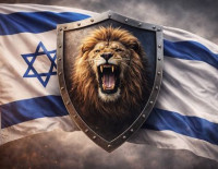 Отчет Министерства здравоохранения: Готовность системы здравоохранения &mdash; операция Рык льва