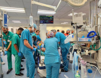 После 7 октября рак поджелудочной железы диагностируют в два с половиной раза чаще