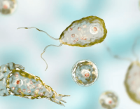 После заражения амебой десятилетний мальчик уже два года не двигается и не говорит