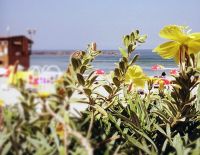 Осторожно: тепловой удар!