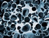 Врачи научились диагностировать рак лёгких, нюхая воздух